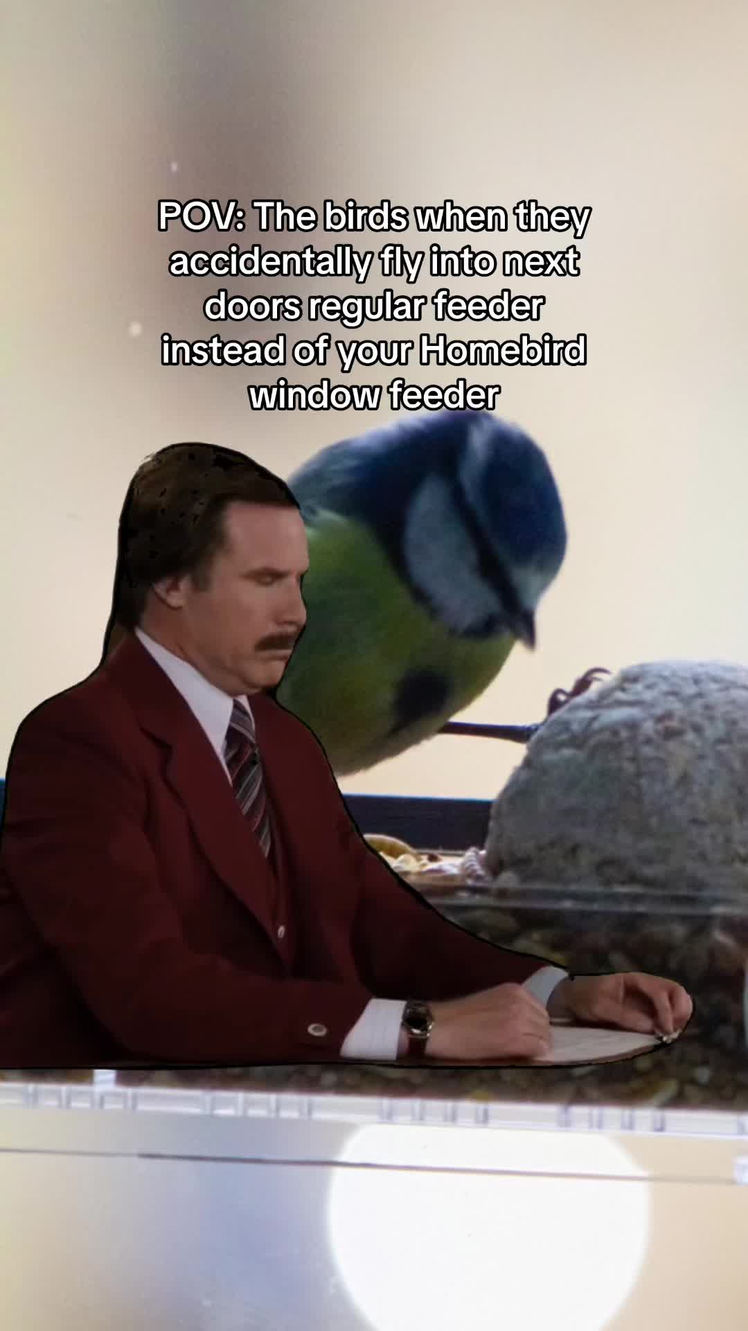 @homebirdshop