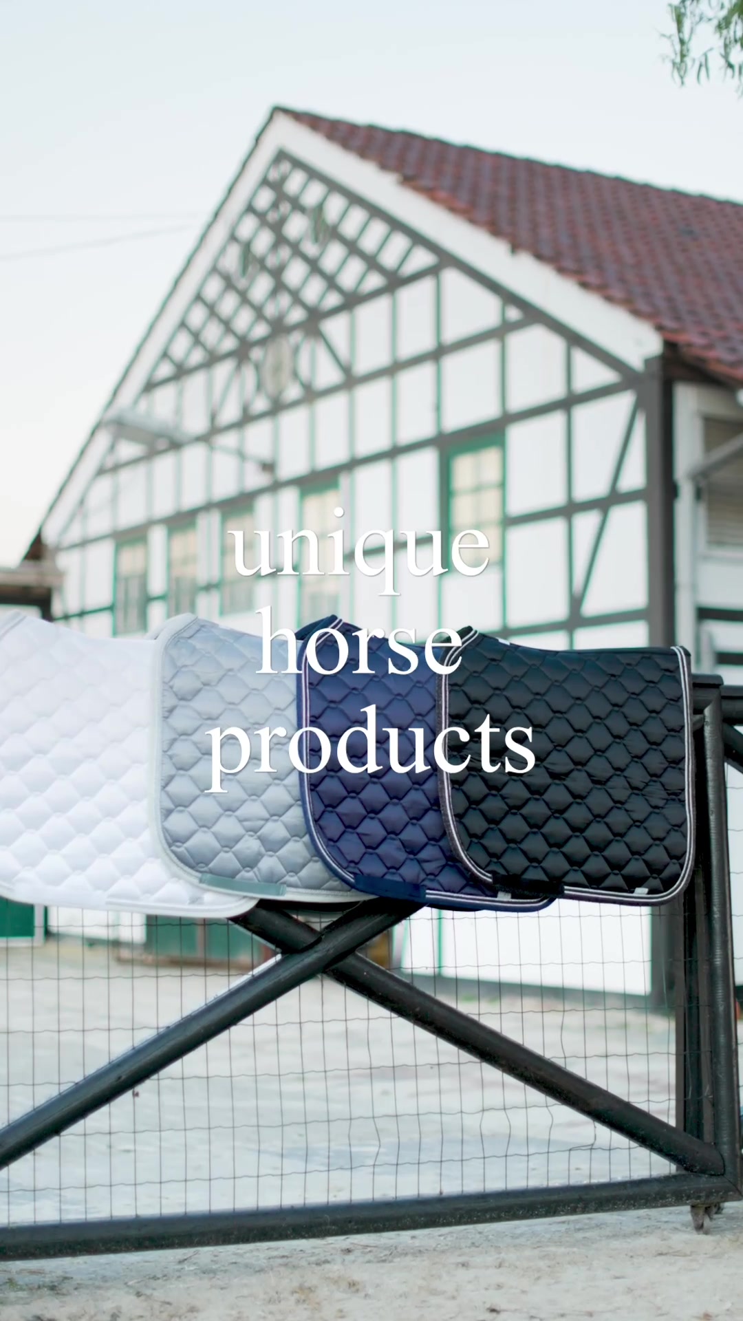 @Schwarze Equestrian