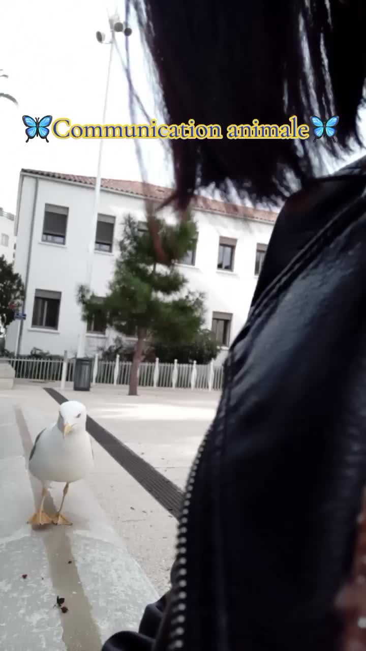 @♱ 𝕮𝖆𝖘𝖘𝖎𝖊 🜂 𝕯𝖑𝖑𝖓 ♱🦢