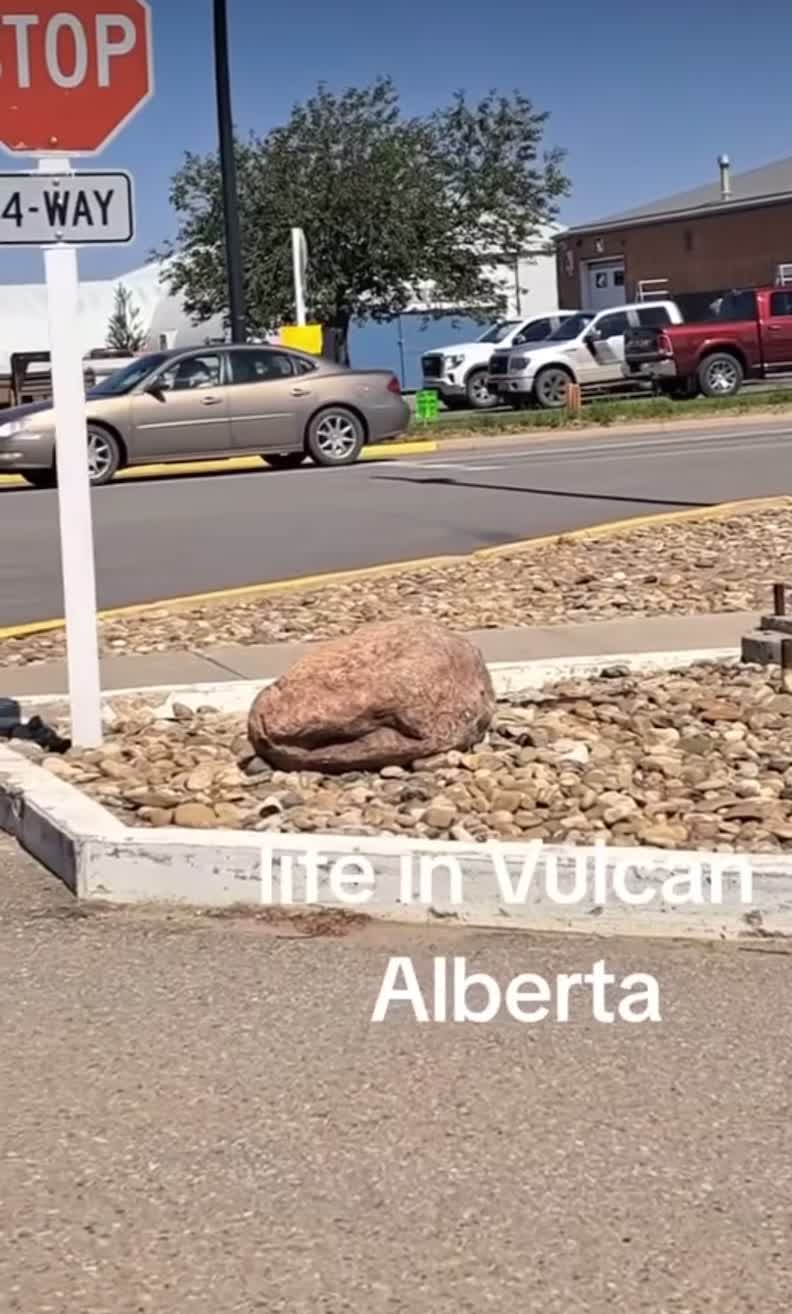 @Yeg crazy news