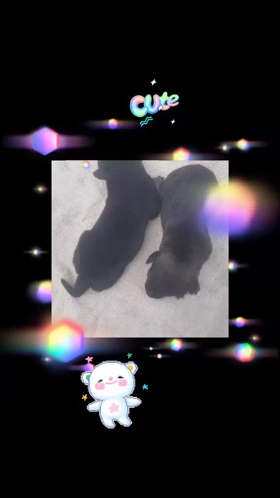 @Ari🌟