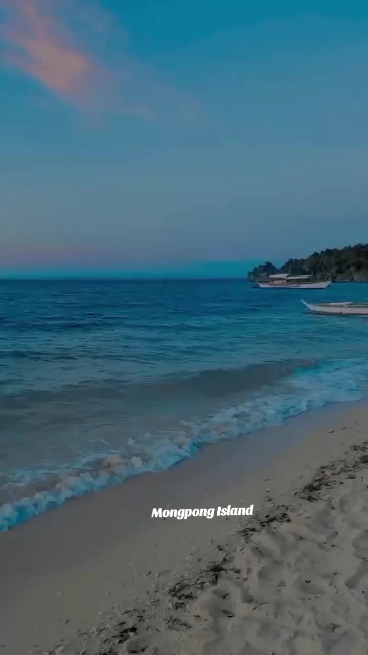 @Zenfitravelntours