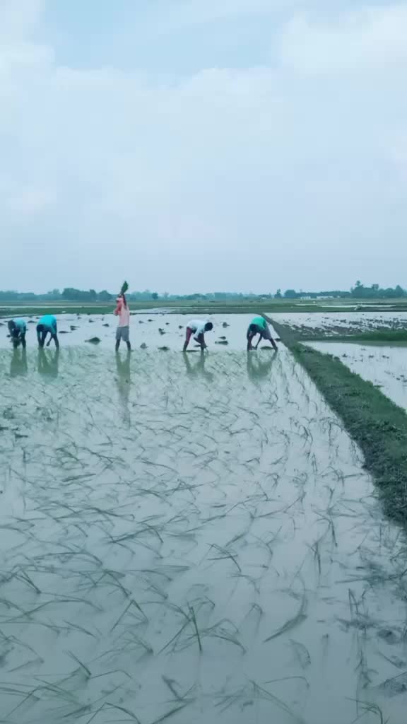 @Ashok Rajbhar