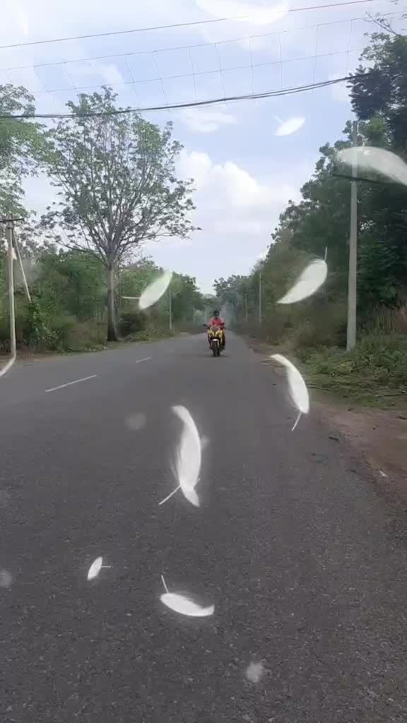 @Praneeth Palvai