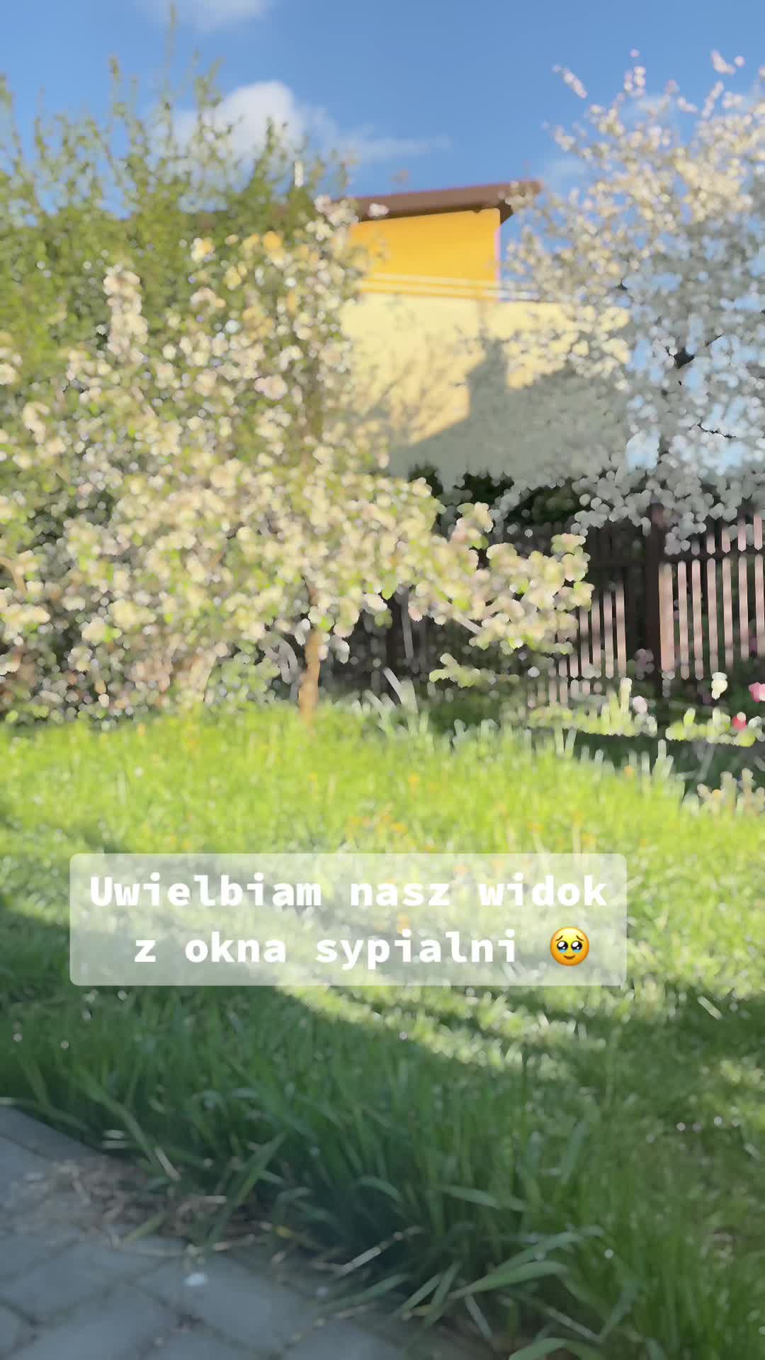 @Anna ✨