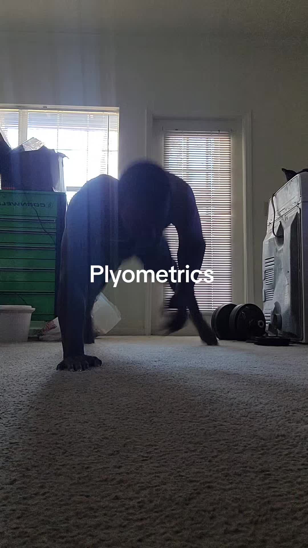 @E.G.I