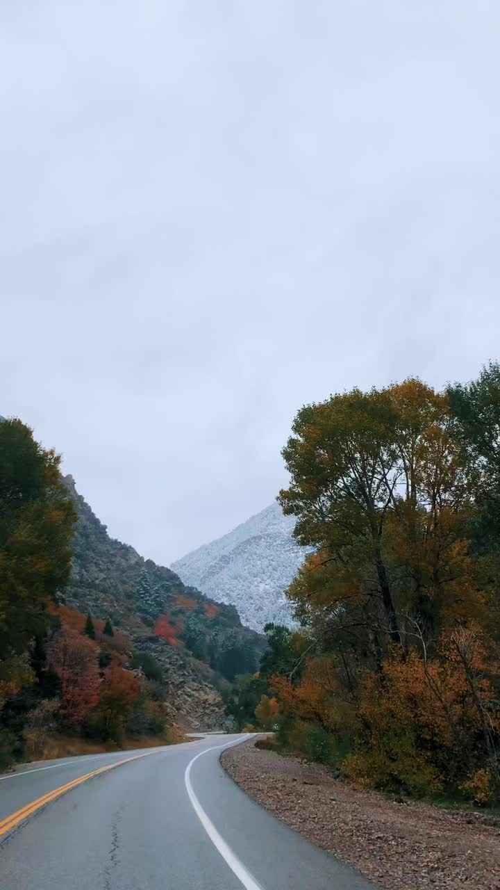 @Livy