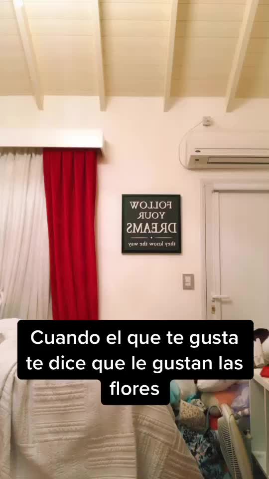 @sol_caime