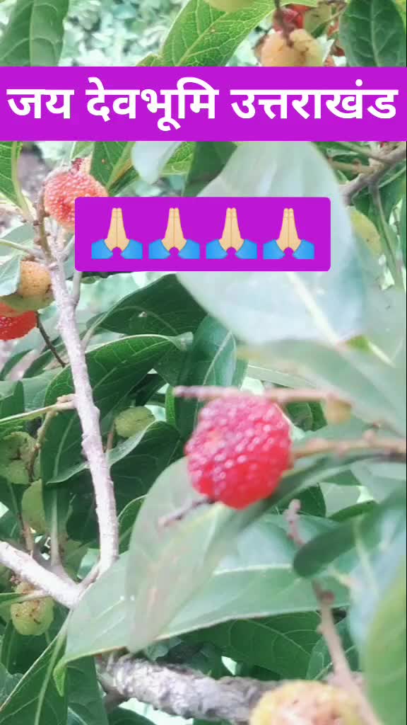 @KumarMukesh@222