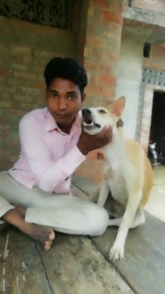 @Mohit Nirmal