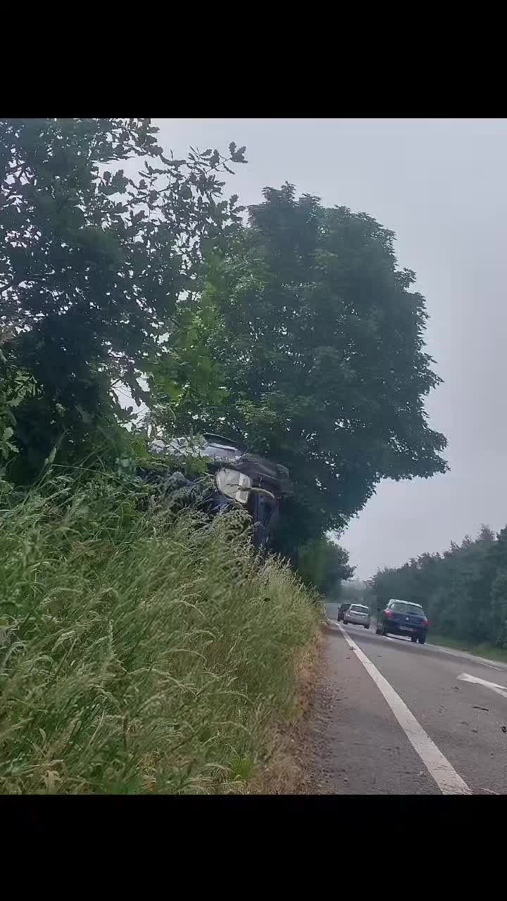 @z.m.