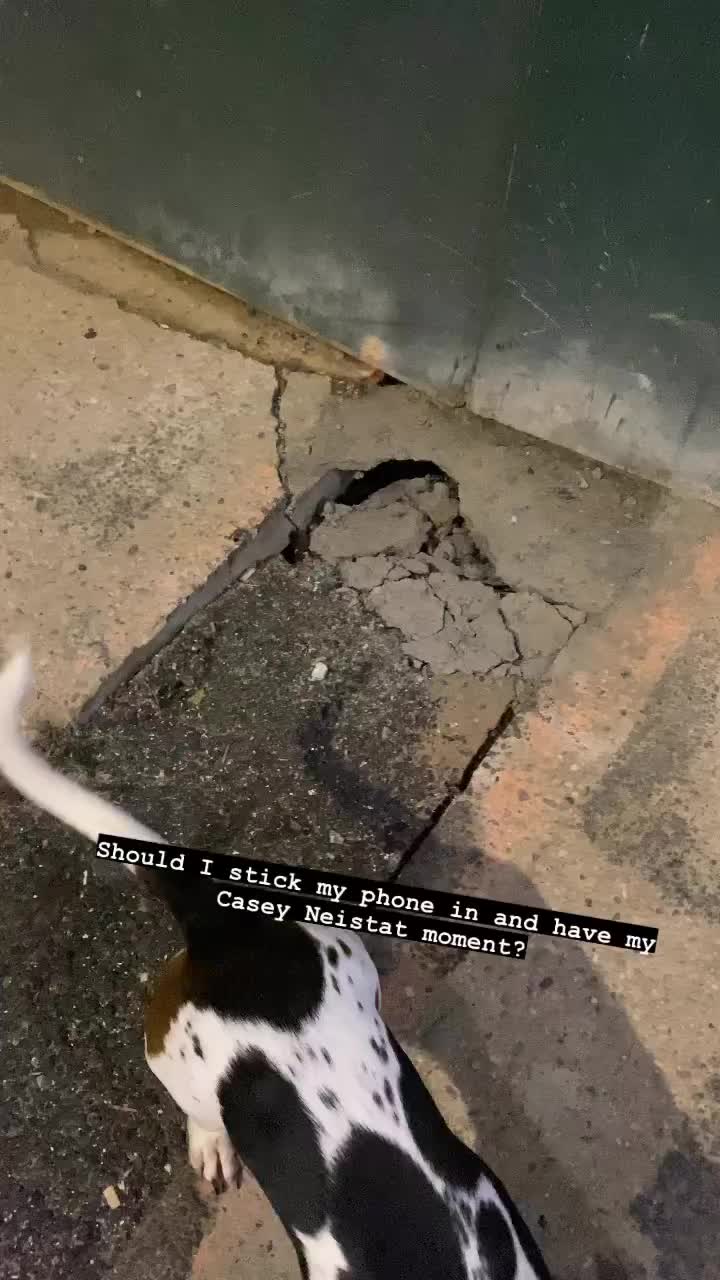 @🤠