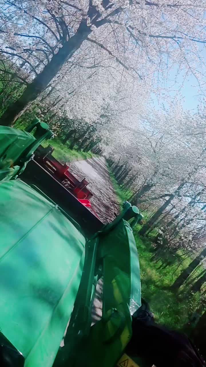 @traute🦅🇩🇪