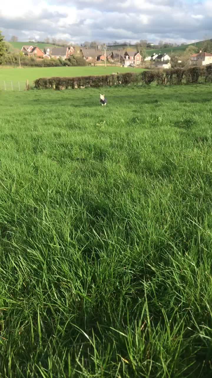 @FARMvisor