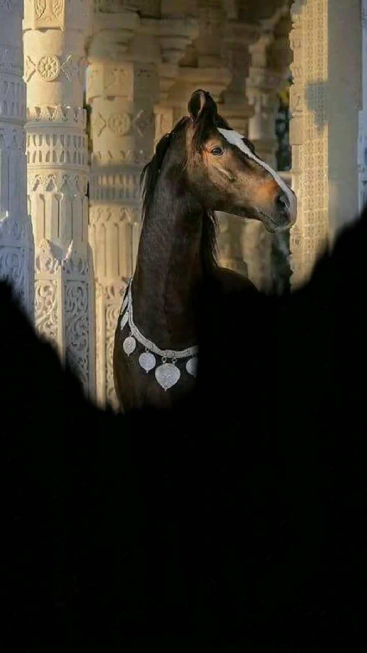 @Hardevsinh Rathod