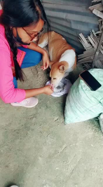 @Mahi Fouzder🐾😇