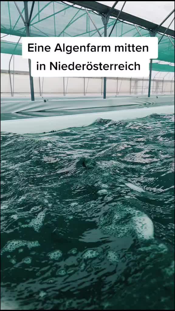 @Spirulix