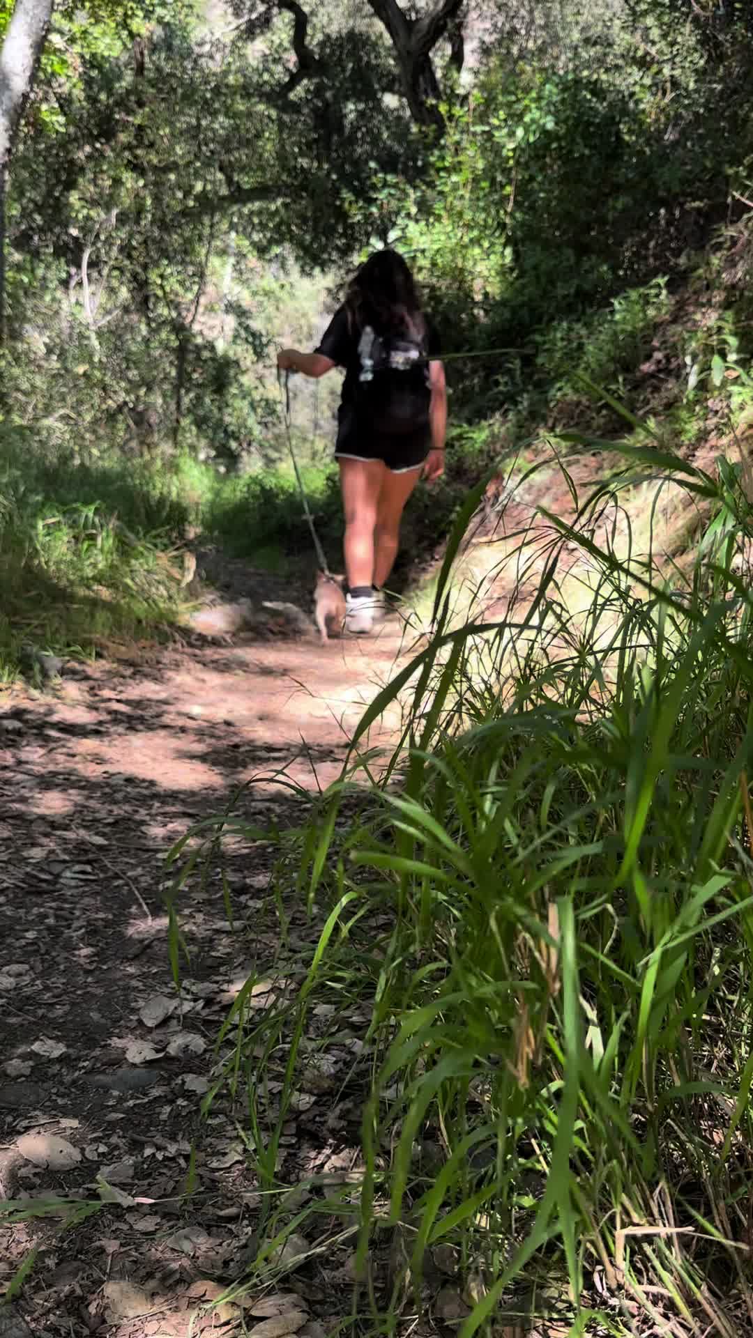 @Yaneyy 🦁