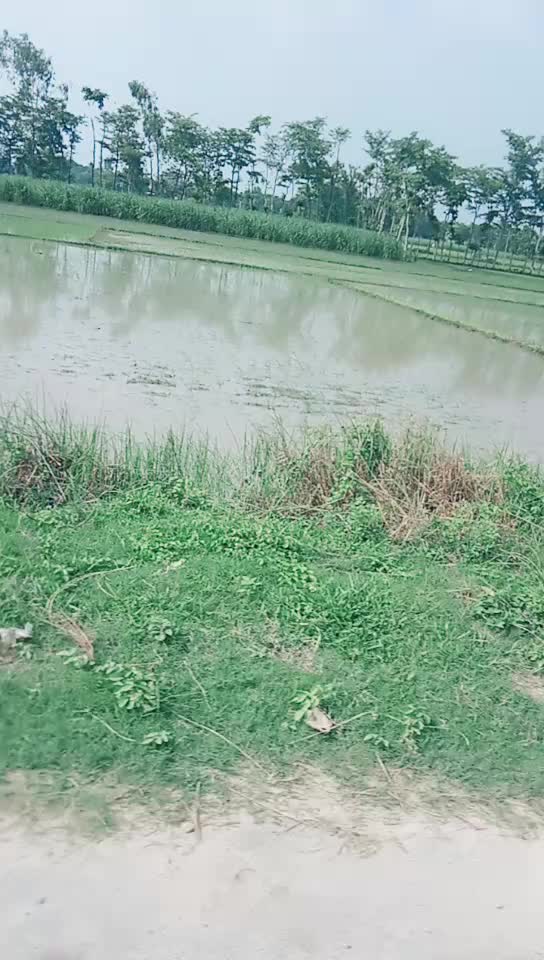 @Punita Singh