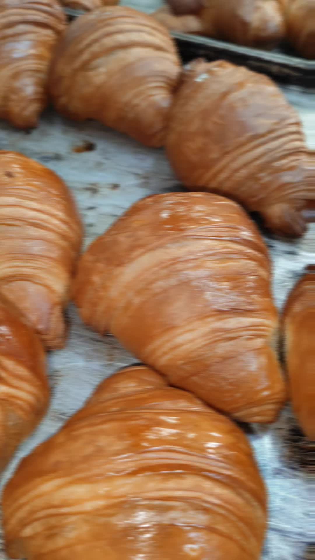 @pasticceriaromana