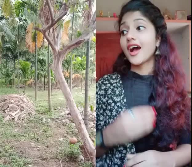 @Ramasamy