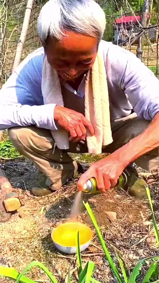 @user9778102720724