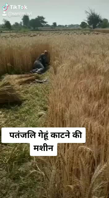 @sanij mavi