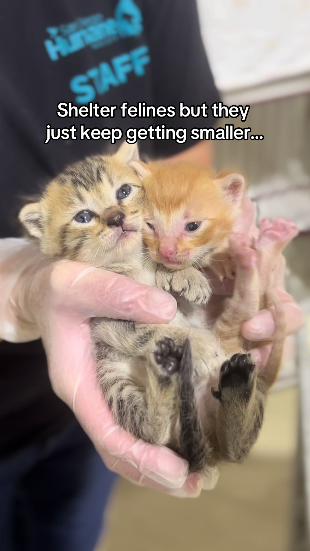 @San Diego Humane Society