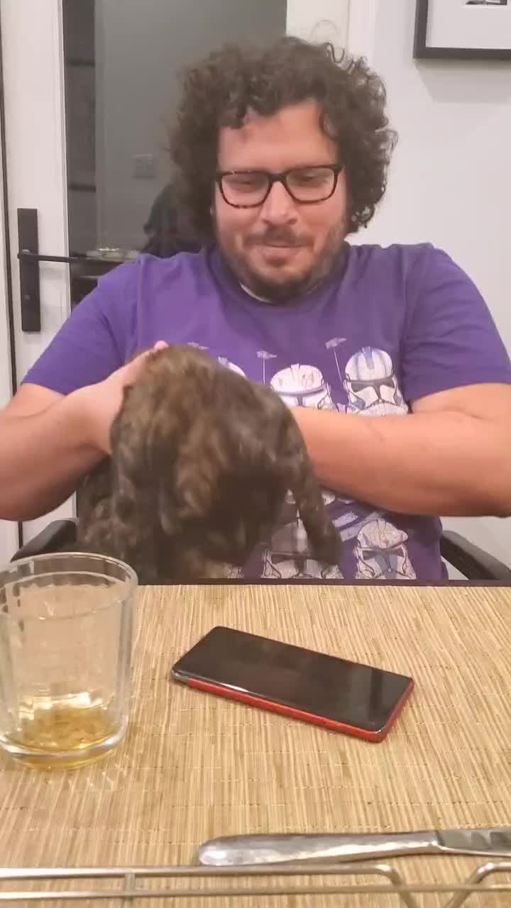 @mockjedi