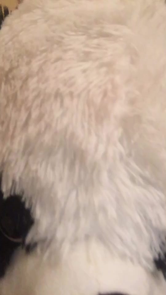 @العاشقة الباندا🐼