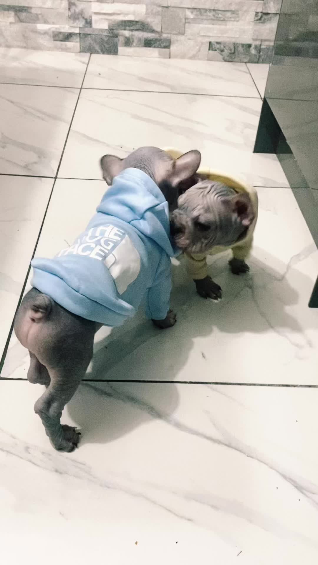 @Softskinpuppies