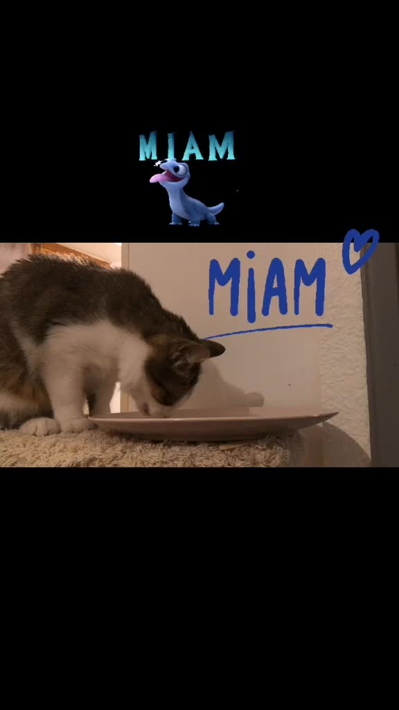 @Pêche 😺