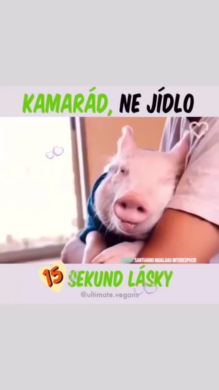 @ULTIMATE.VEGANS