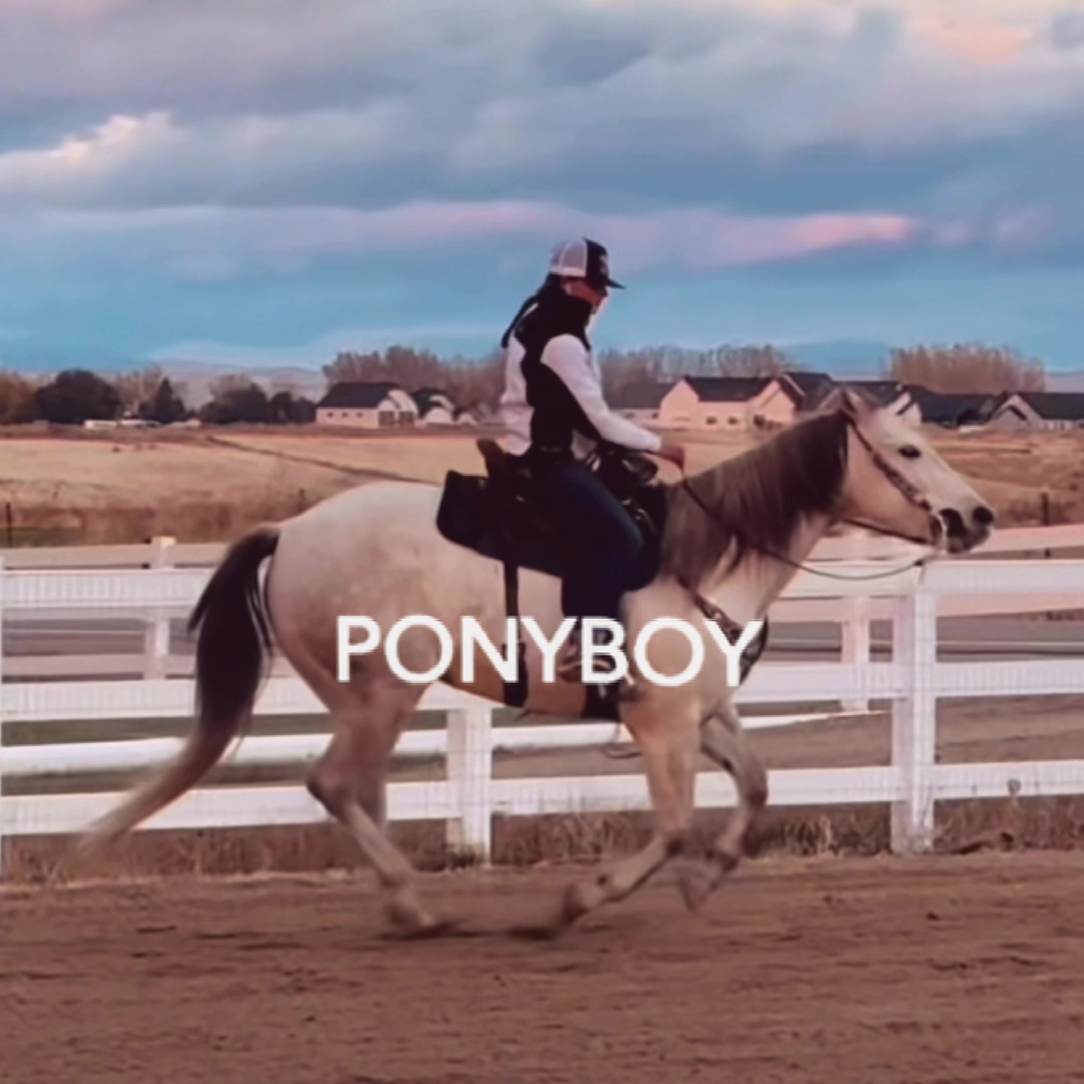 @{𐂃EquestrianEdits.X0X0𐂃}