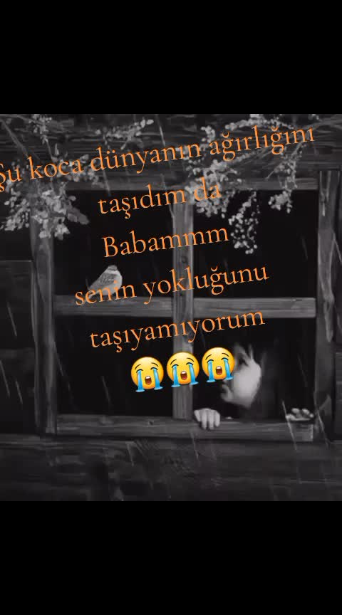 @siyah gece