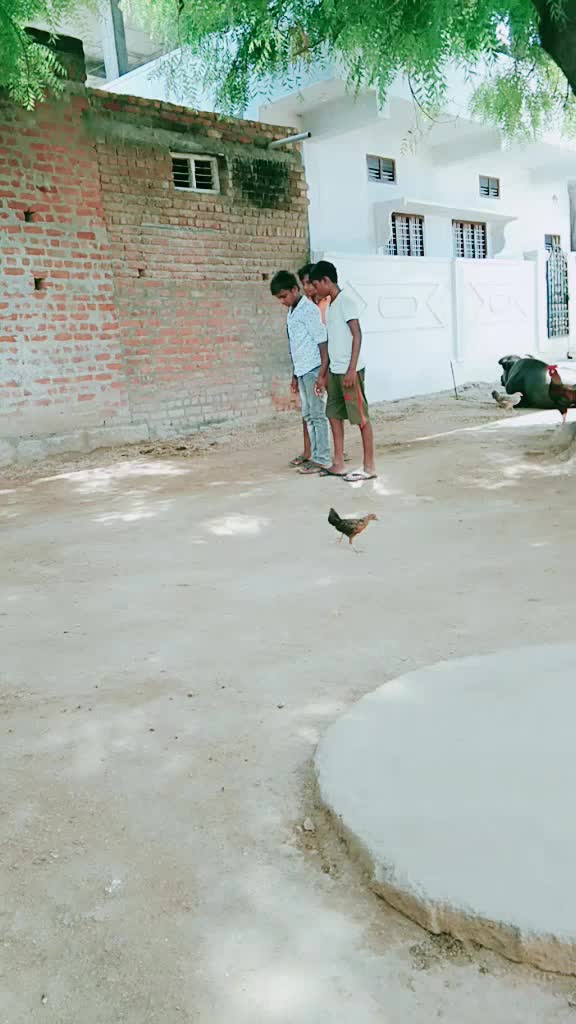 @Koppula Ramana