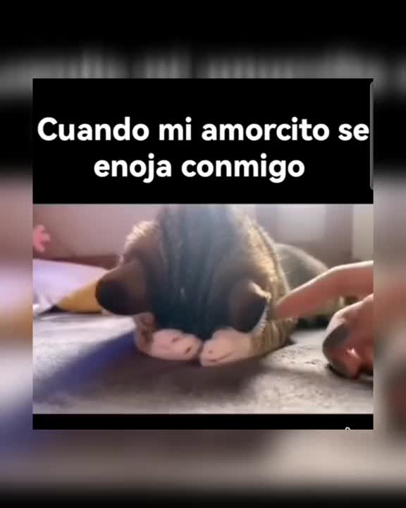 @Mari Gomez Quispe