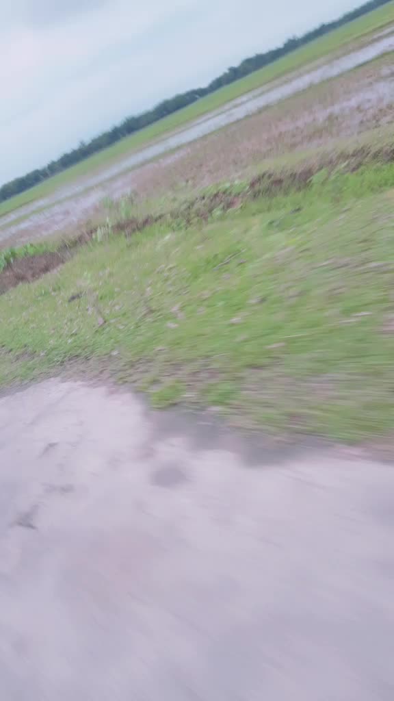 @Chaw Dipu Gogoi🔥