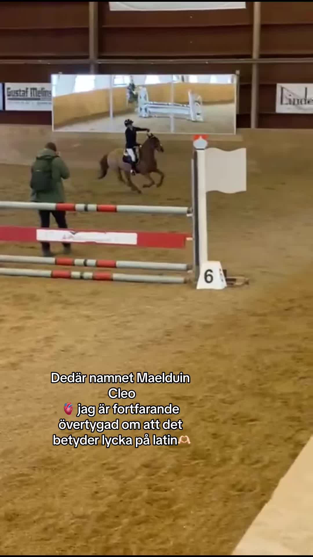 @loucie_a