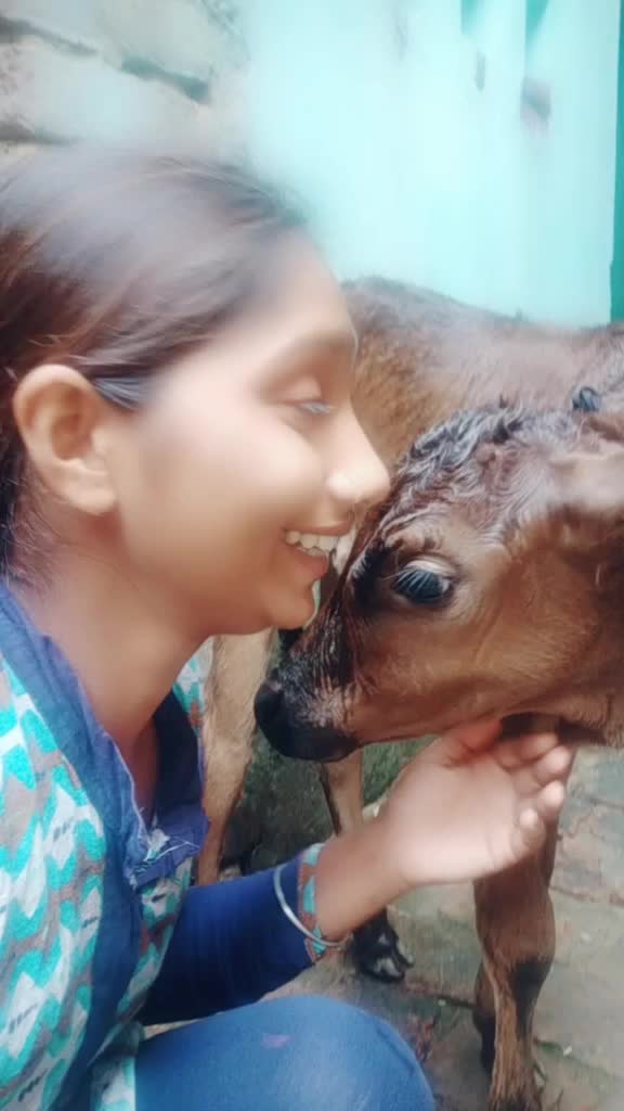 @mahi Prajapati