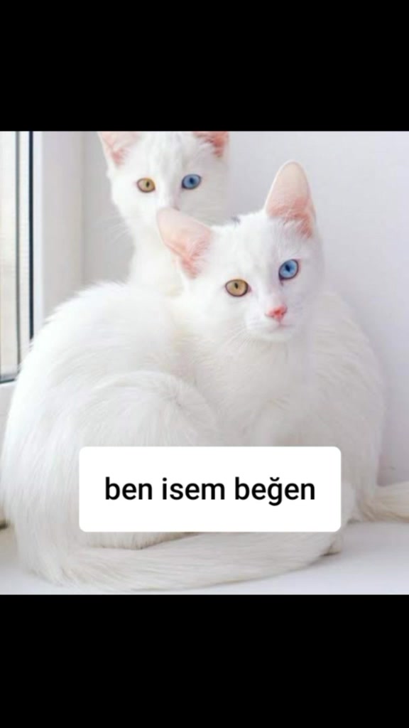 @İREM