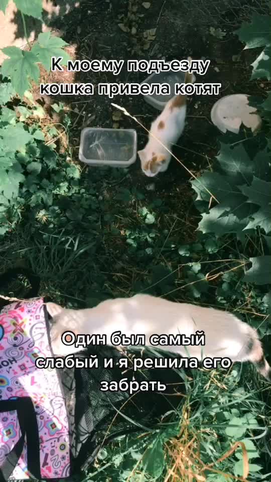 @user8289051089568
