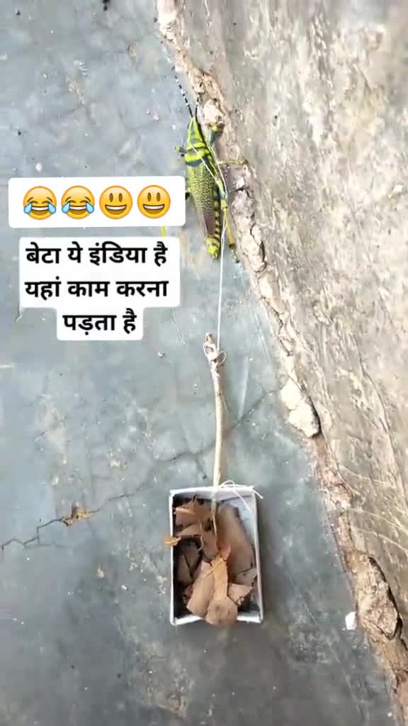@Ankush goutam