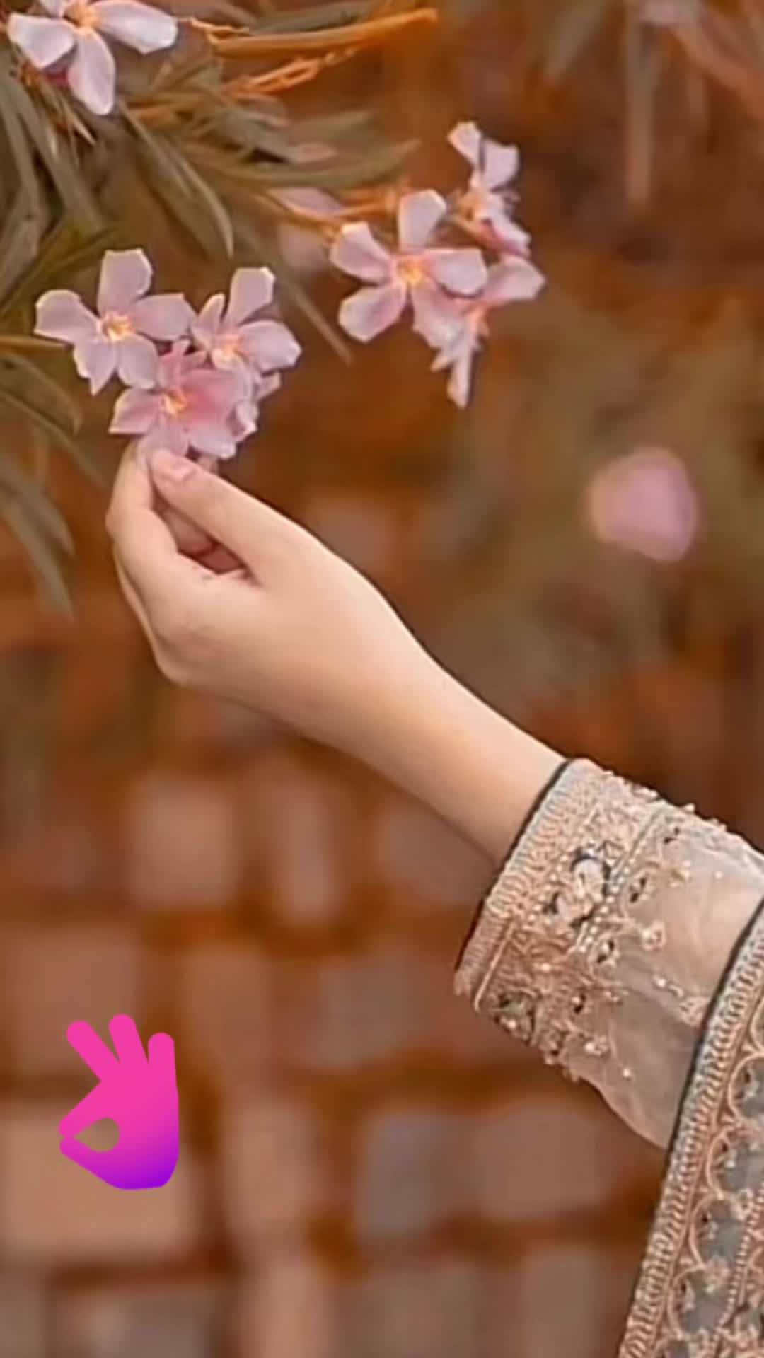 @Laila