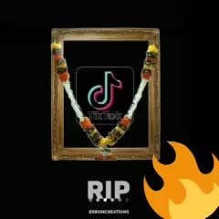 @chitti