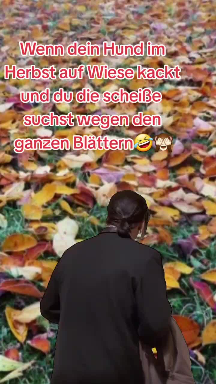 @🎵🔊Älla Die Musikbox 💃🎶🎙