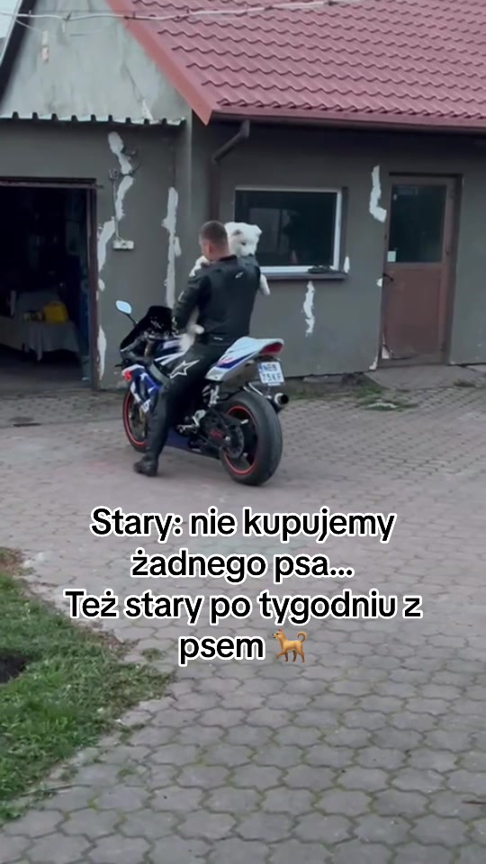 @FVRMIZI