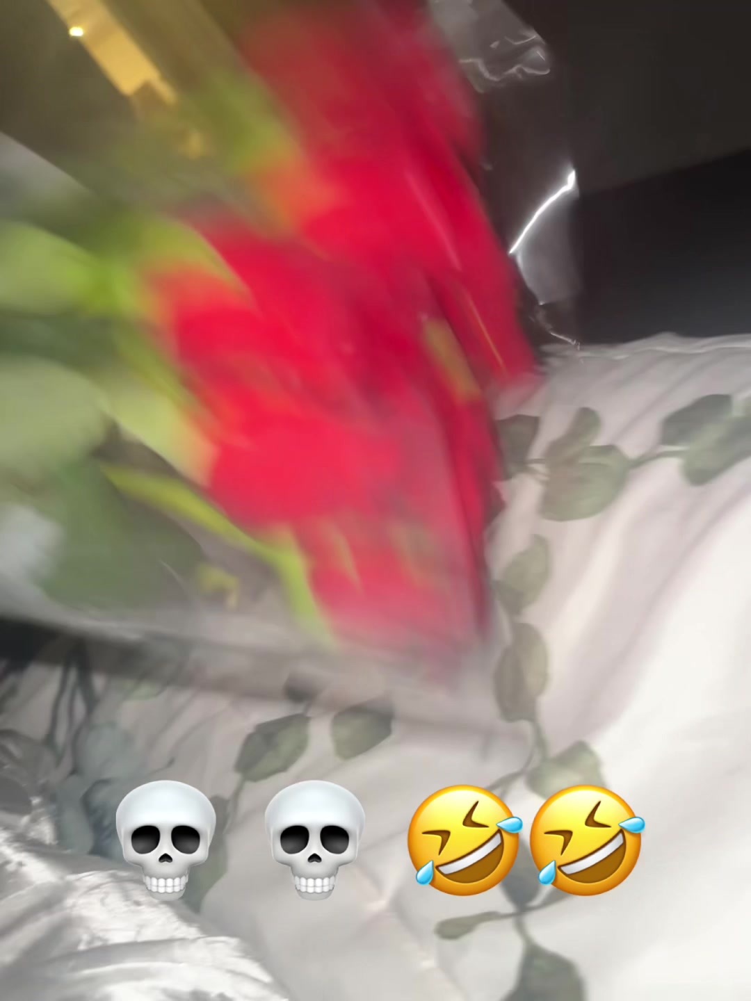 @esmelizette
