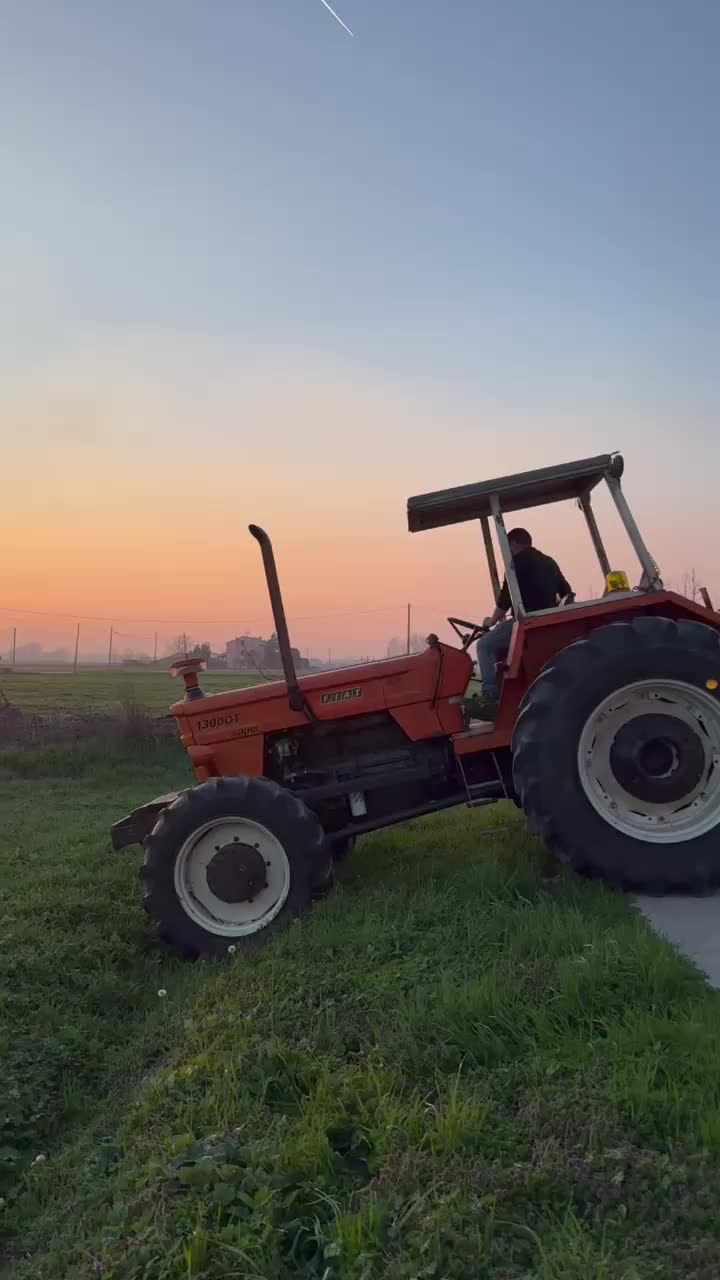 @Mirko Farmer