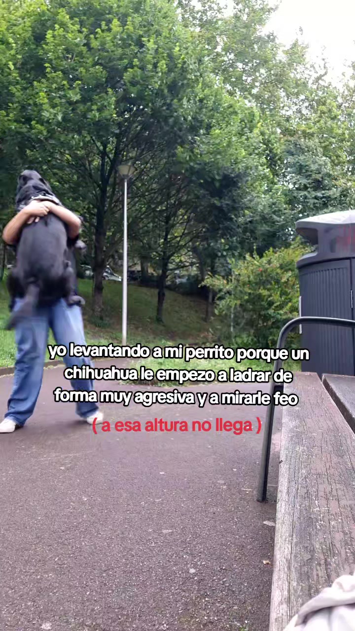 @GABY